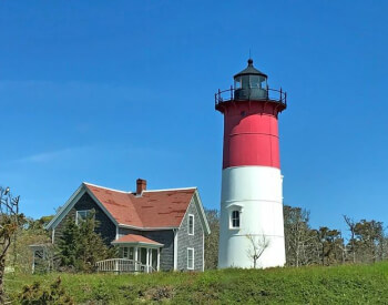 Winter Rentals Banner Image